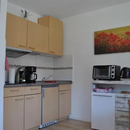 Apartamento Harz-rose